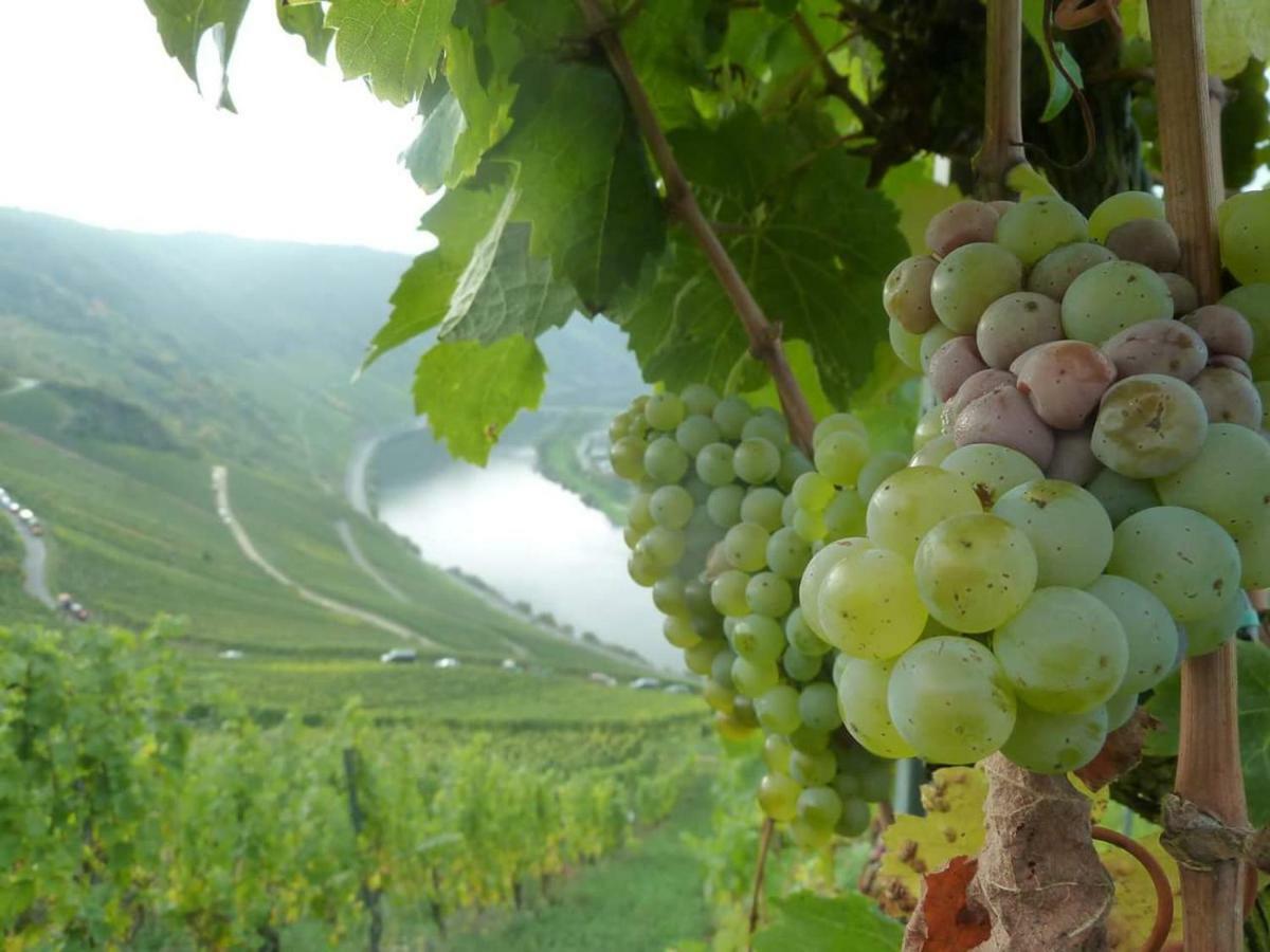 Der Weinladen Apartment Krov Luaran gambar