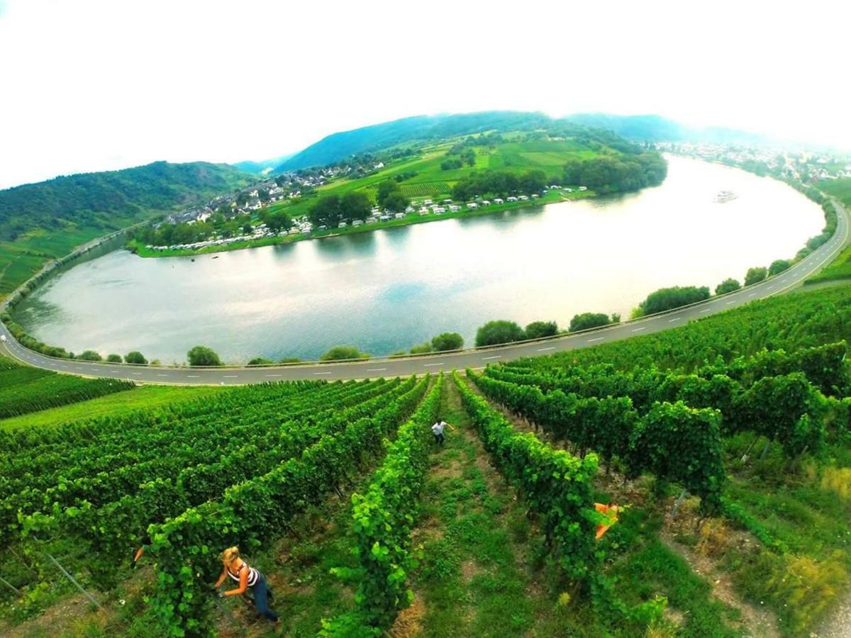 Der Weinladen Apartment Krov Luaran gambar